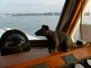 rat-15536_1280